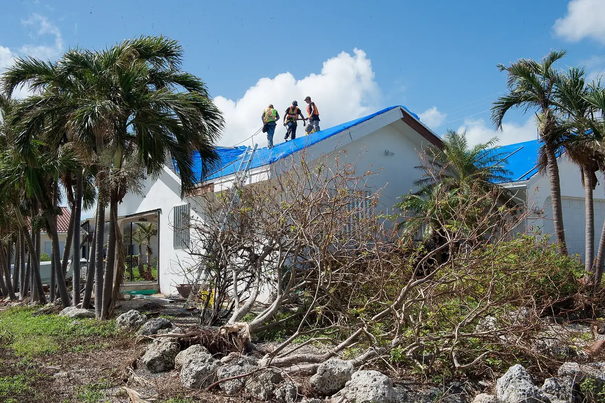 Coastal Florida homes with blue emergency roof tarps after a hurricane – blue tarp service Panhandle